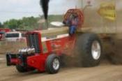 Wayne Tedder 6.JPG